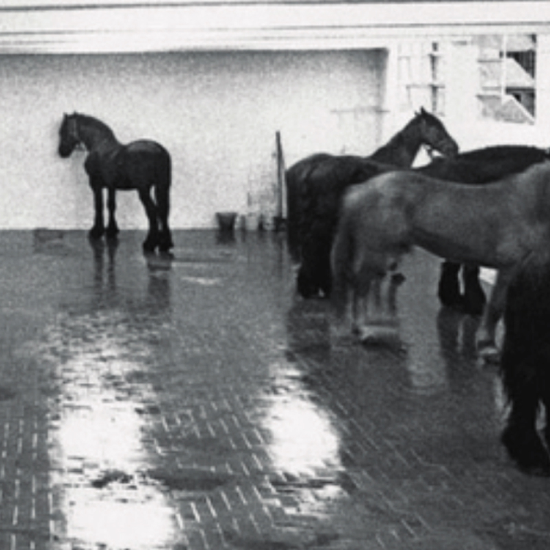 jannis kounellis
