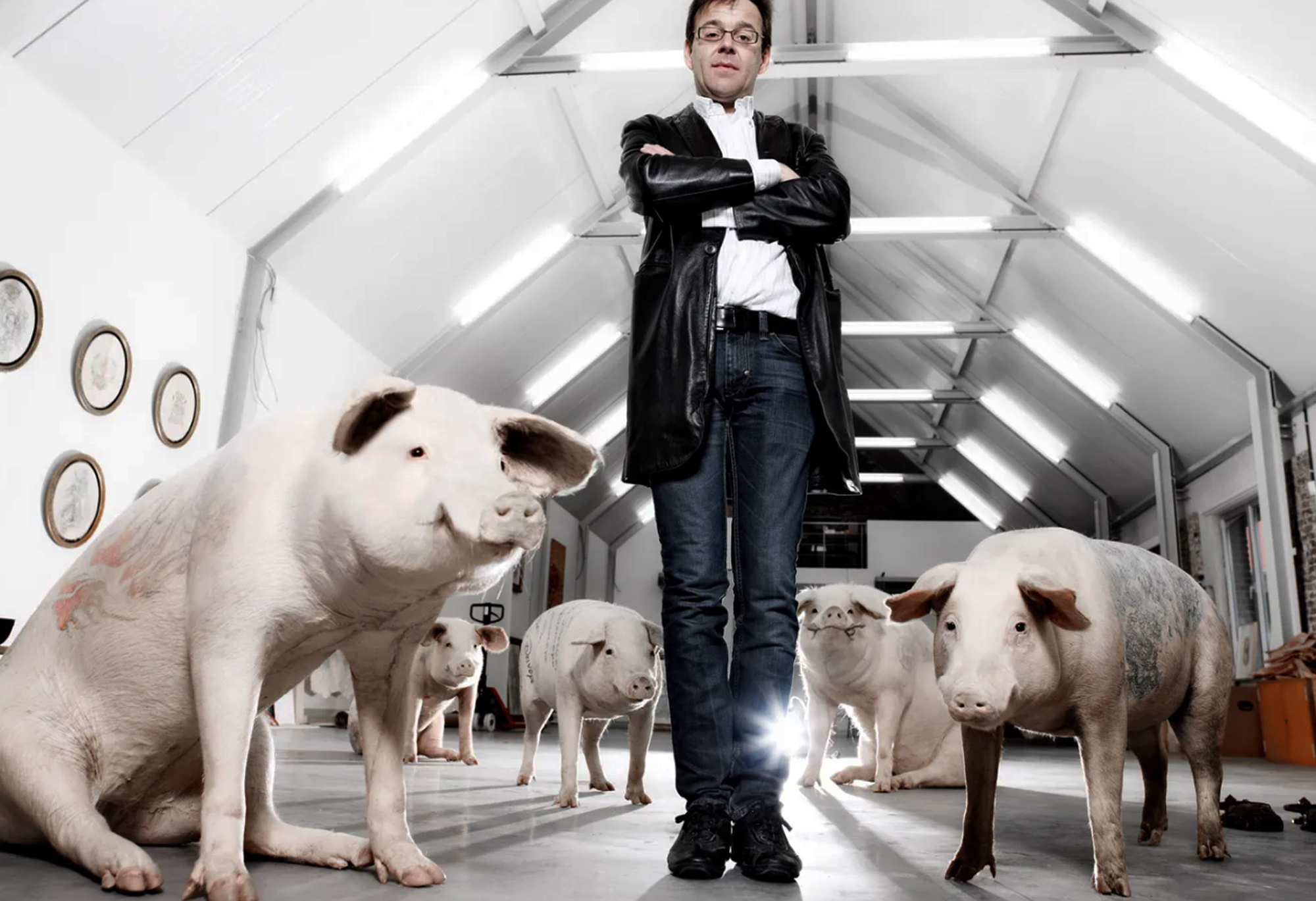 wim delvoye
