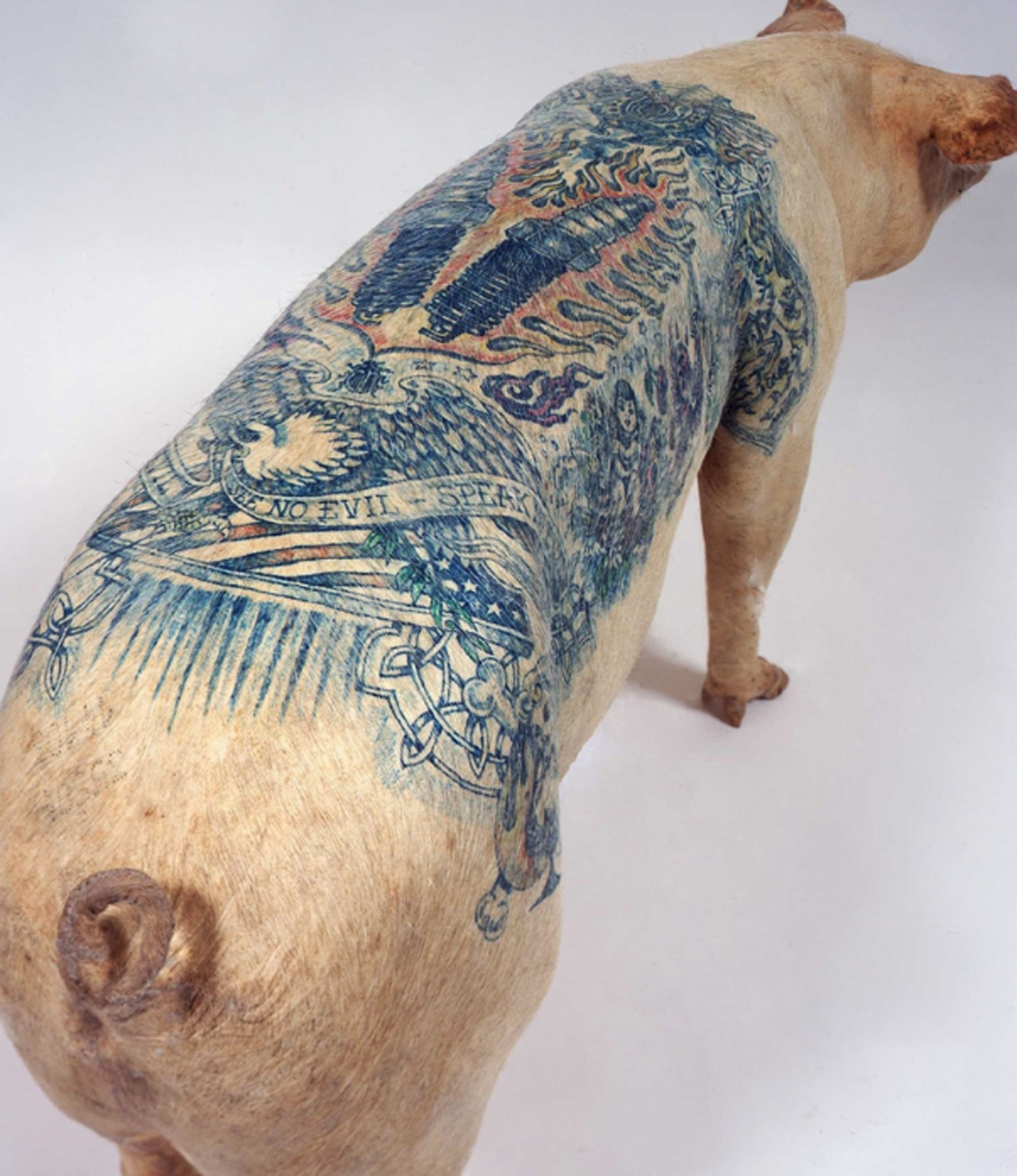 wim delvoye