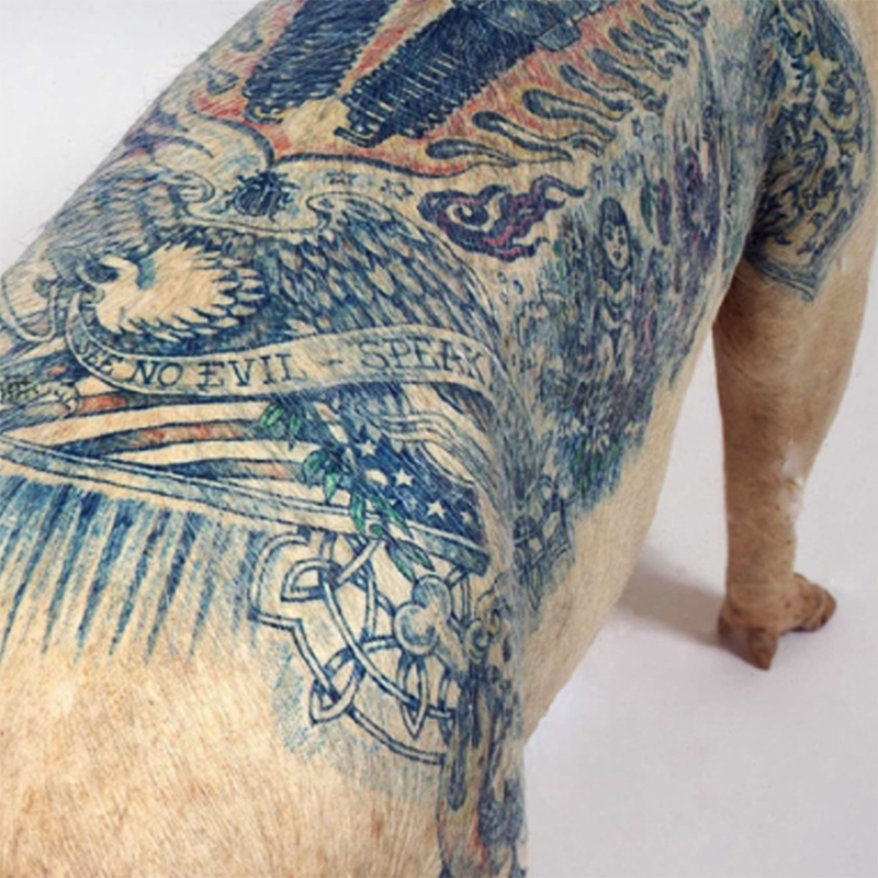 wim delvoye